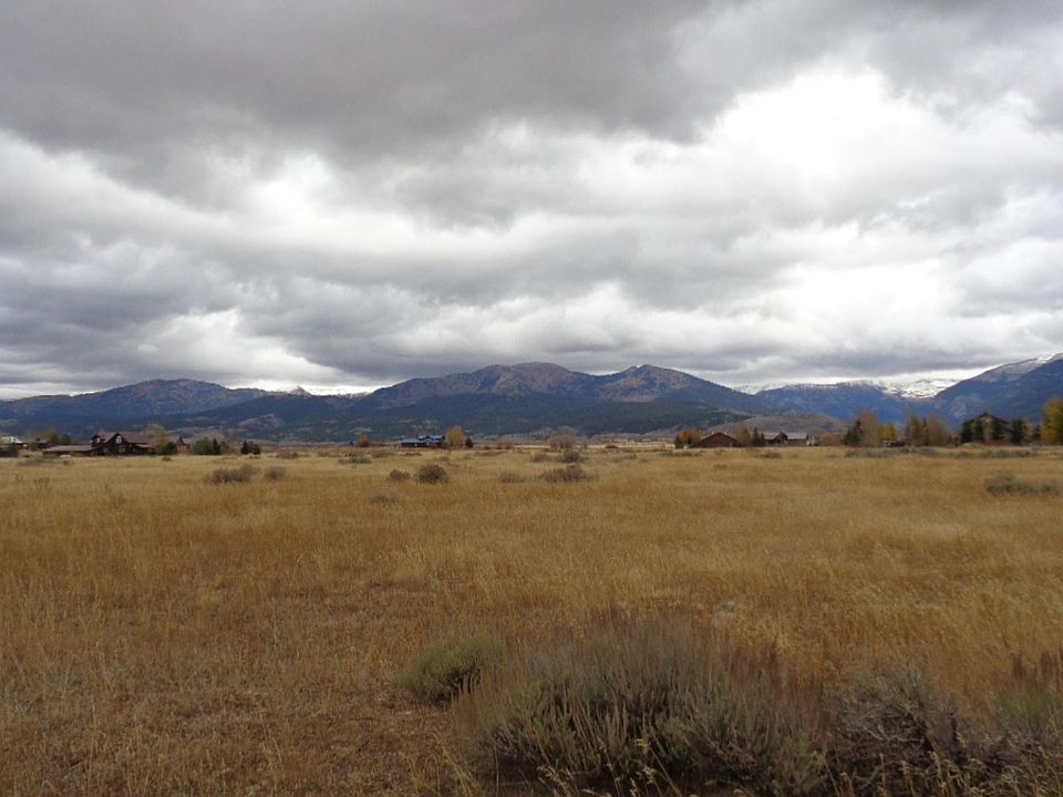 2nd image of 159 Wild Cat Cyn