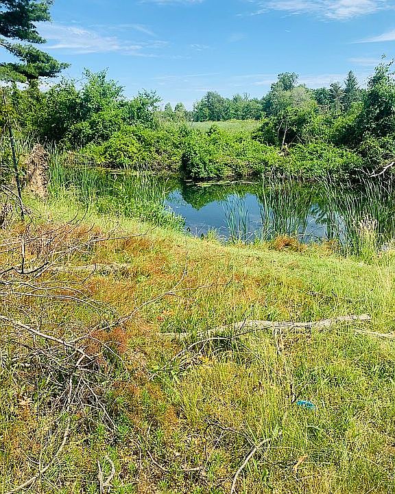 1st image of 20697 Dogwood Shore Ln