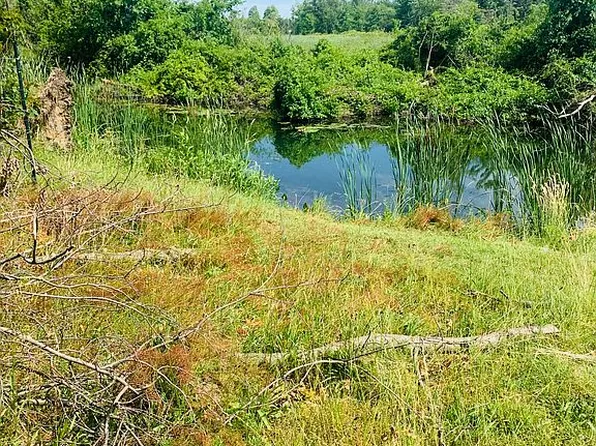 20697 Dogwood Shore Ln, White Pigeon, MI 49099