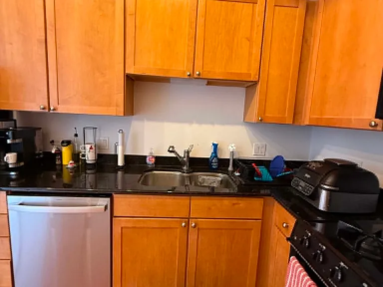 1000 N Kingsbury St #707 — Photo 7