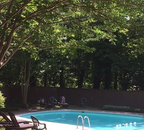 5th image of 25 Montrose Manor Ct APT J