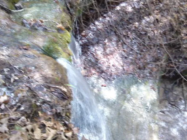 299 Hilltop Ln, Wilder, TN 38589