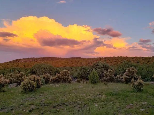 12601 Bumpy Rd, Seligman, AZ 86337