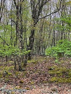 4th image of Spring Ct