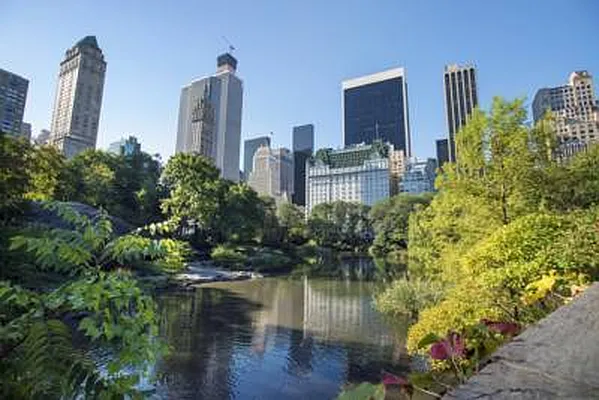 Rented by Caliber Associates | media 19