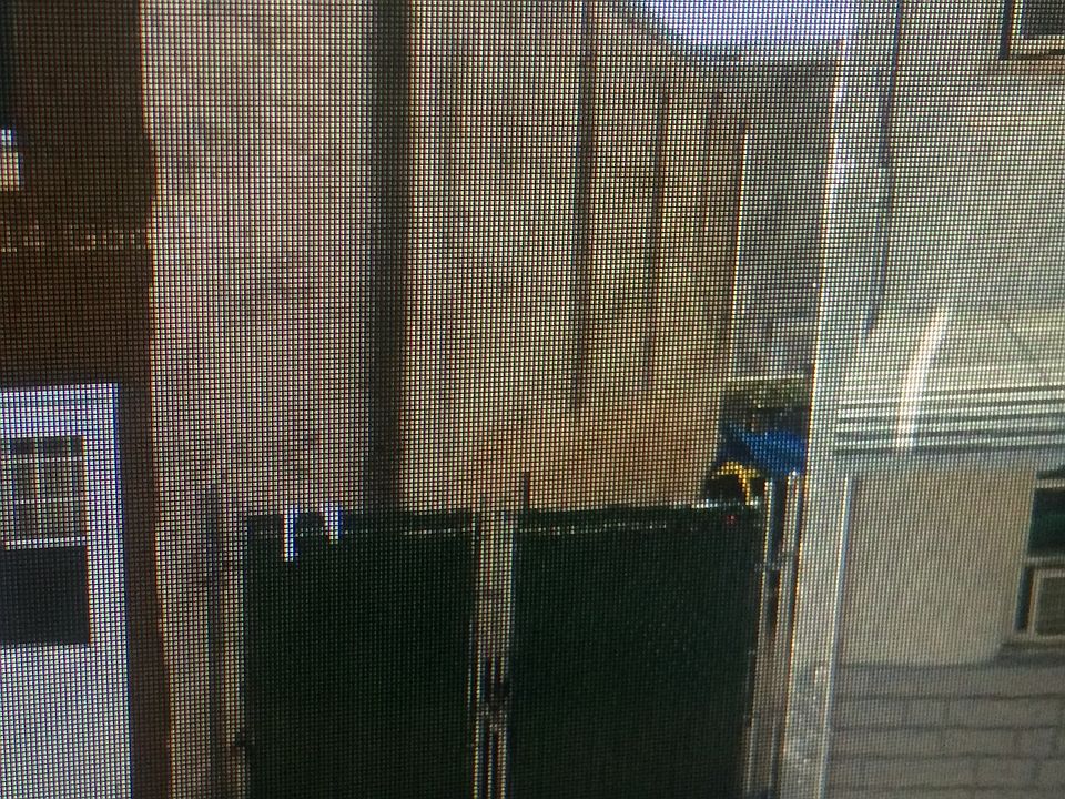 1st image of 2210 E Harold St