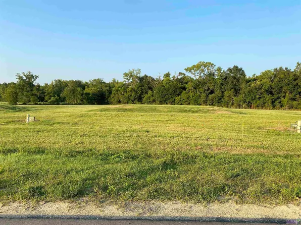 LOT 29 Buddy Gore Rd Lot 29, Gonzales, LA 70737