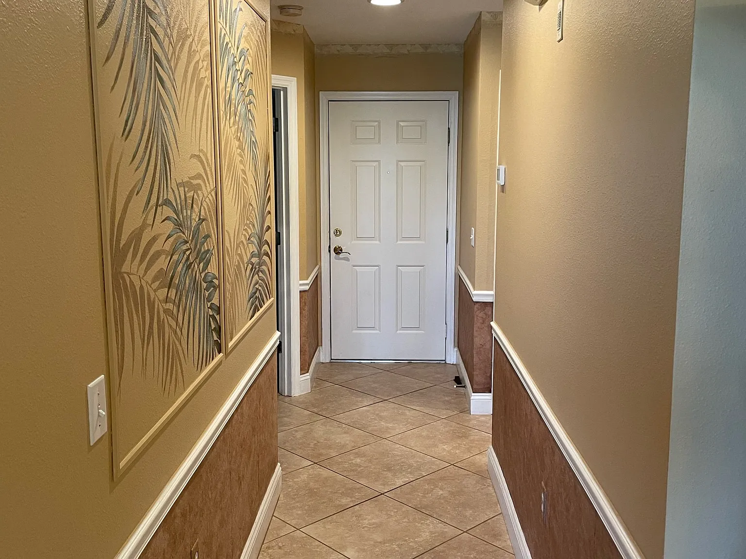 5230 Hyland Hills Ave — Photo 4