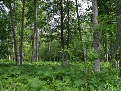 8887 Fosberg Road, Siren, WI, 54872