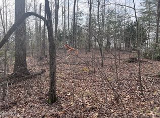 3320 Chapel Hill Rd #144, Crawford, TN 38554