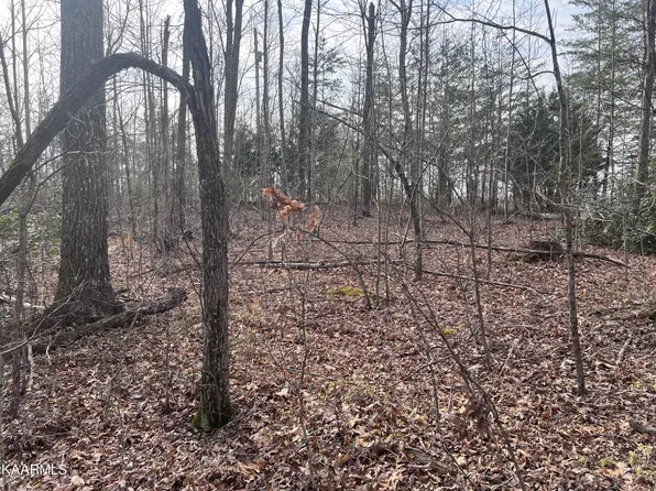 3320 Chapel Hill Rd #144, Crawford, TN 38554