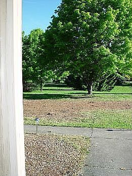 View from front door