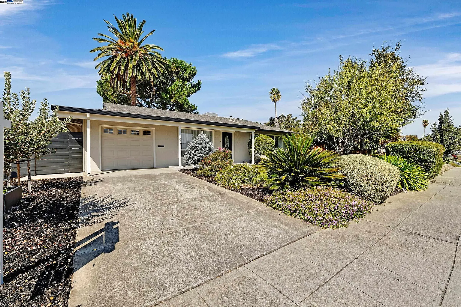 1370 Daisy Ln photo 1
