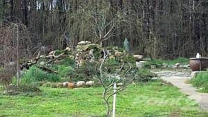 IMG_20130405_095512_682