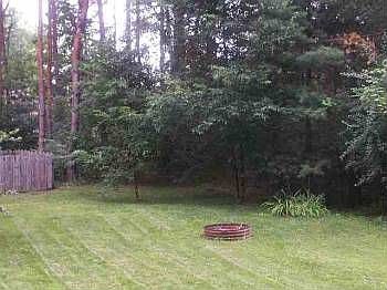 5th image of 9740 Pineneedle Ln
