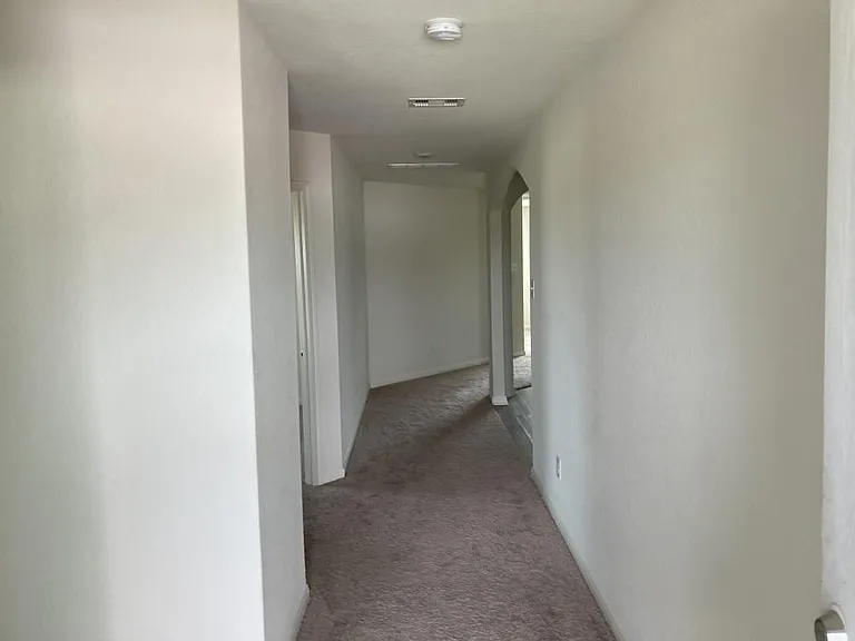 8418 Hannah — Photo 2