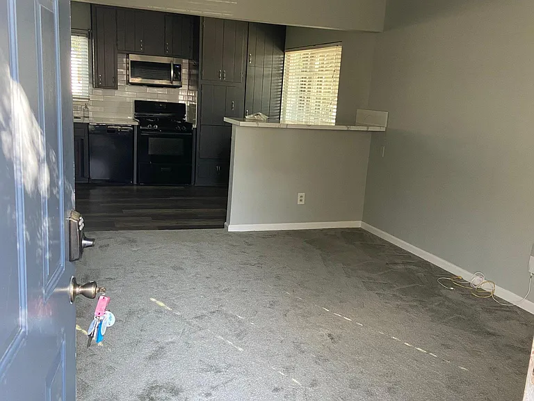 1004 W Spruce St #1004 — Photo 7