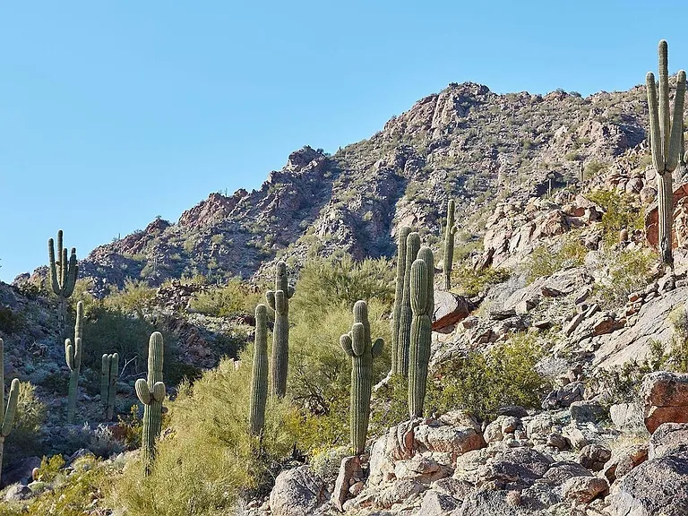 4849 N Camelback Ridge Dr #B405 — Photo 19