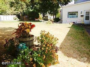 back yard