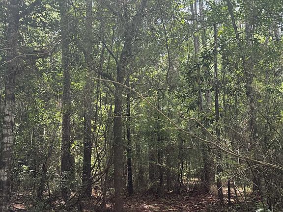4th image of 29607 Fox Branch Rd