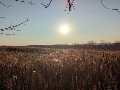 00-0 Hotchkiss Rd, Greene, NY, 13778