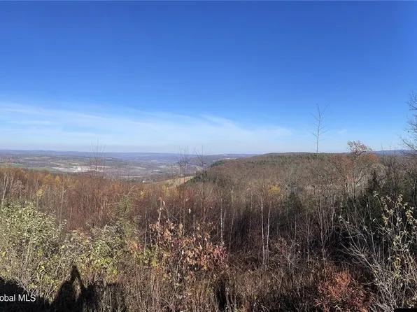 L26 & L27 Ecker Hollow Rd Lot 26, Schoharie, NY 12157