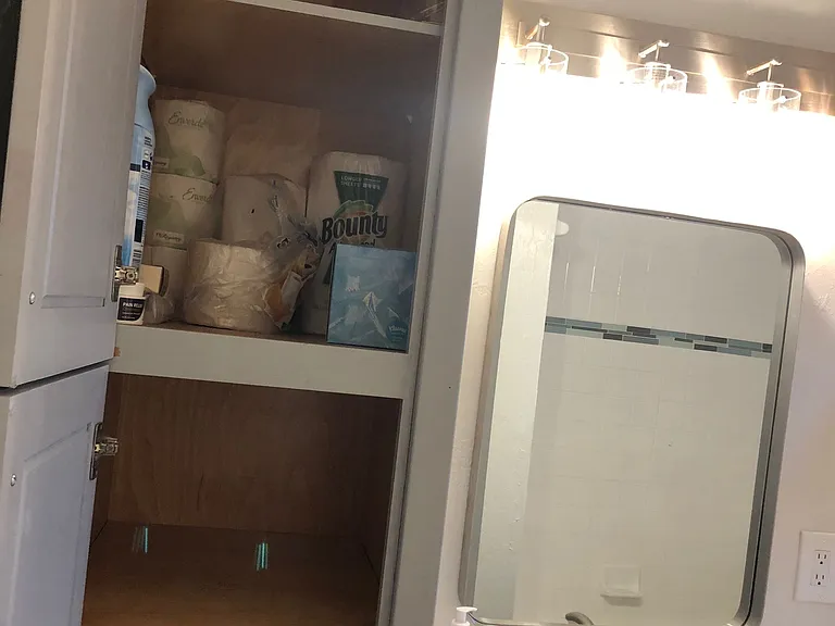 Guest bath storage
