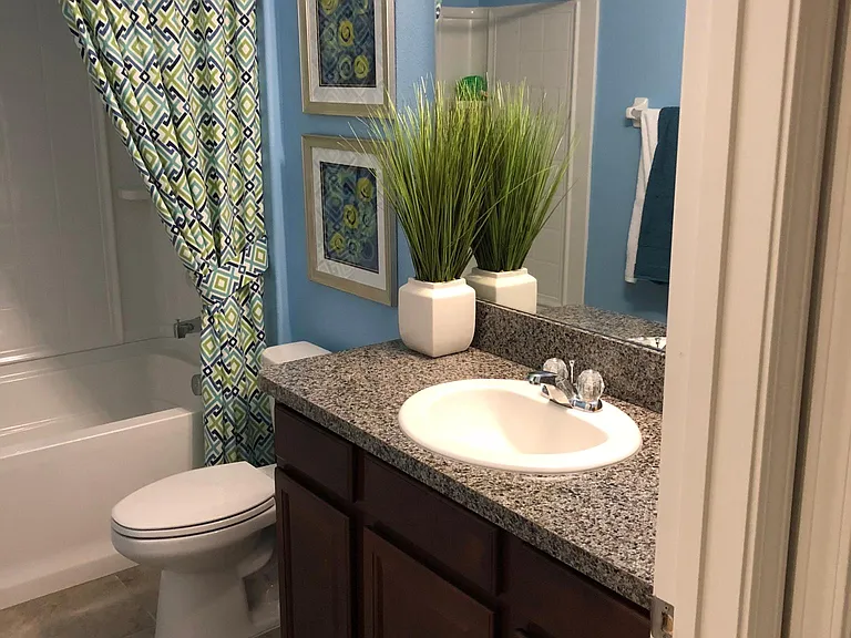 10241 Strawberry Tetra Dr — Photo 8