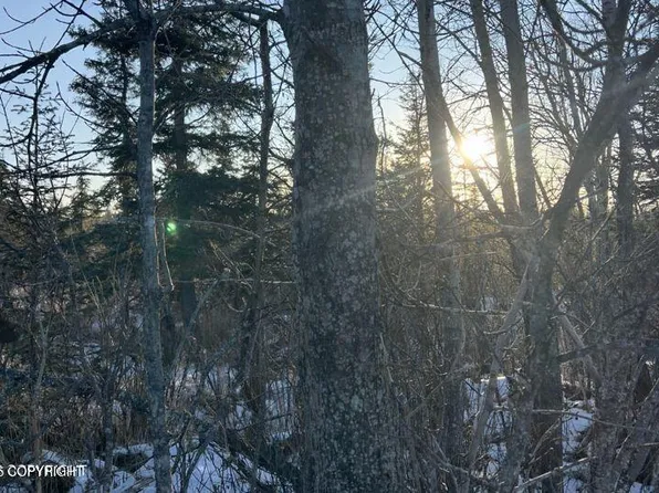 34725 N Fork Rd, Anchor Point, AK 99556