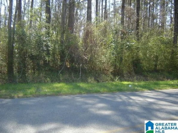 0 7th St S Lot 1, Clanton, AL 35045