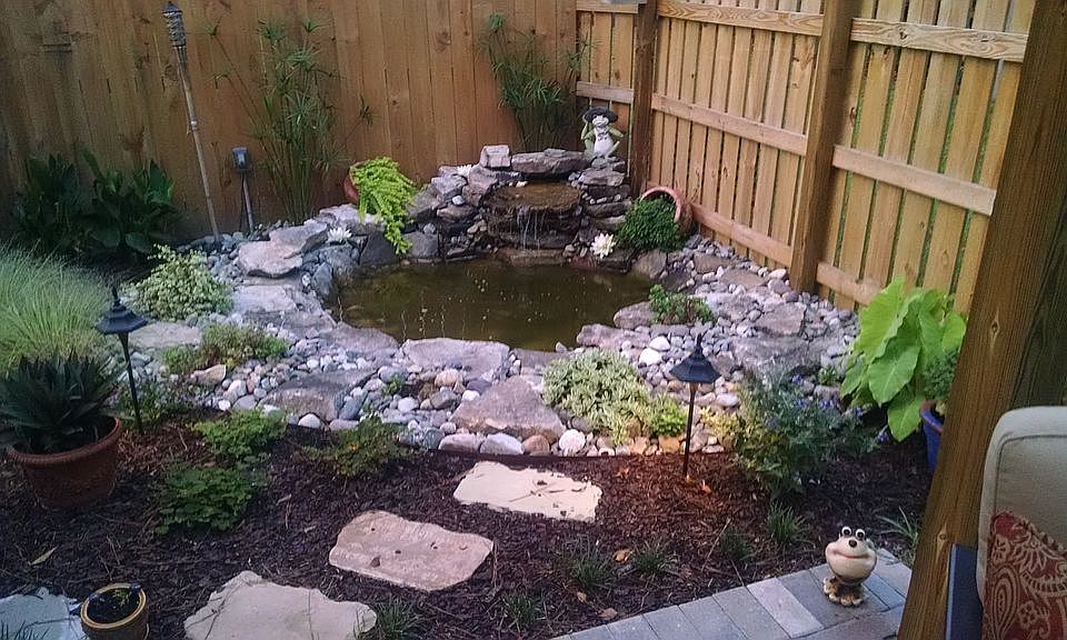 Pond