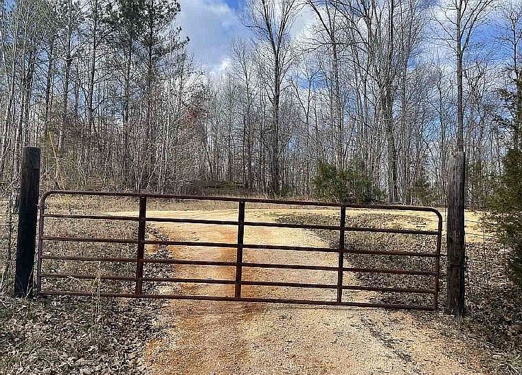2nd image of 344 Peters Landing Spur