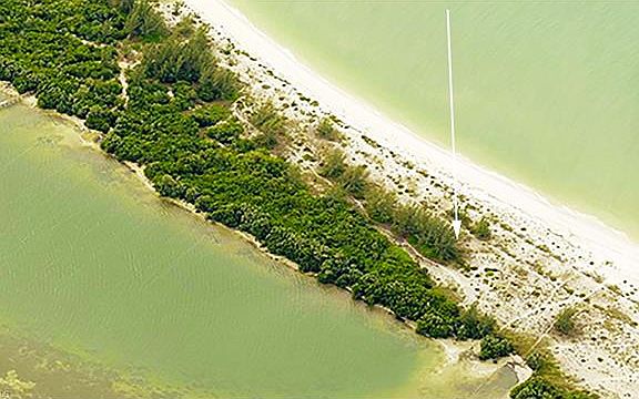 5th image of 11630 Redfish Shores Dr
