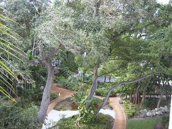 lush grounds view from balcony