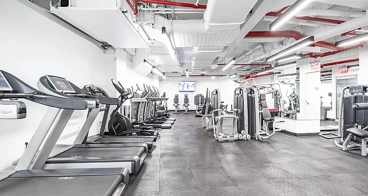 Rented by Platinum Properties | media 34