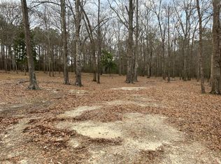 Riverstone Ct, Eclectic, AL 36024