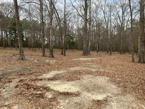 Riverstone Ct, Eclectic, AL 36024