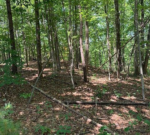 4th image of 0 Oak Garden Dr