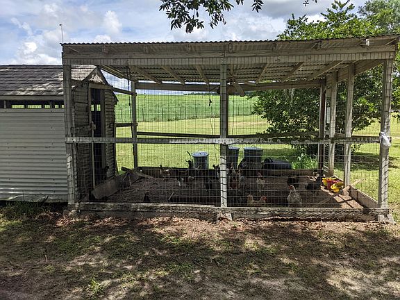 chicken coop, fresh eggs daily !!!