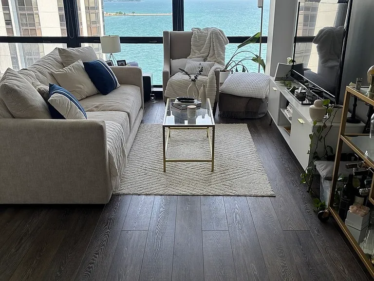 900 N Lake Shore Dr #2111 — Photo 4