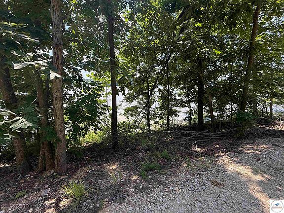 4th image of 33297 Wendys Ln