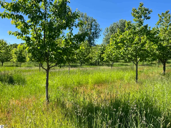 E Harrys Rd, Traverse City, MI 49684