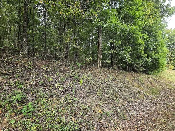 0 Big Oak Tree Rd #3.54, Adairsville, GA 30103