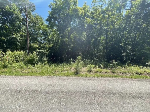 0 Spruce Dr, Spring City, TN 37381