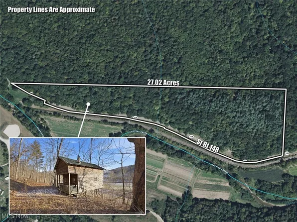 0 Highway 148, Beallsville, OH 43716