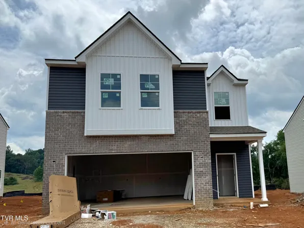 281 Chimney View Loop, Blountville, TN 37617