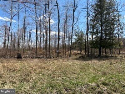 Cherry Ridge Rd LOT 4, Mount Storm, WV, 26739