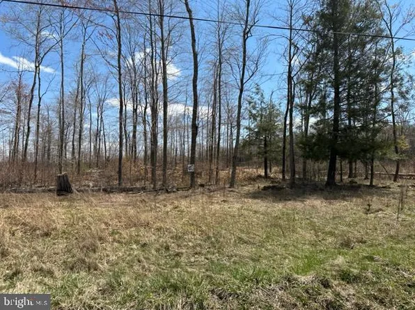 Cherry Ridge Rd Lot 4, Mount Storm, WV 26739