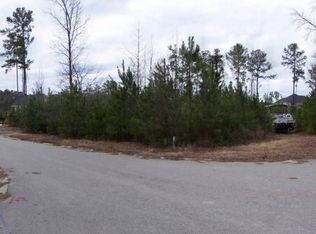 100 Otto Hegman Ct, Lexington, SC 29072