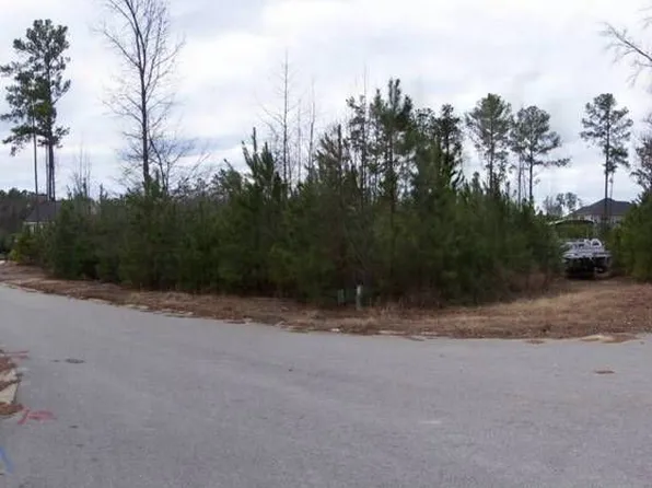 100 Otto Hegman Ct, Lexington, SC 29072